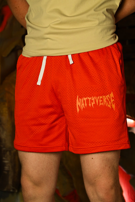 Mesh Shorts