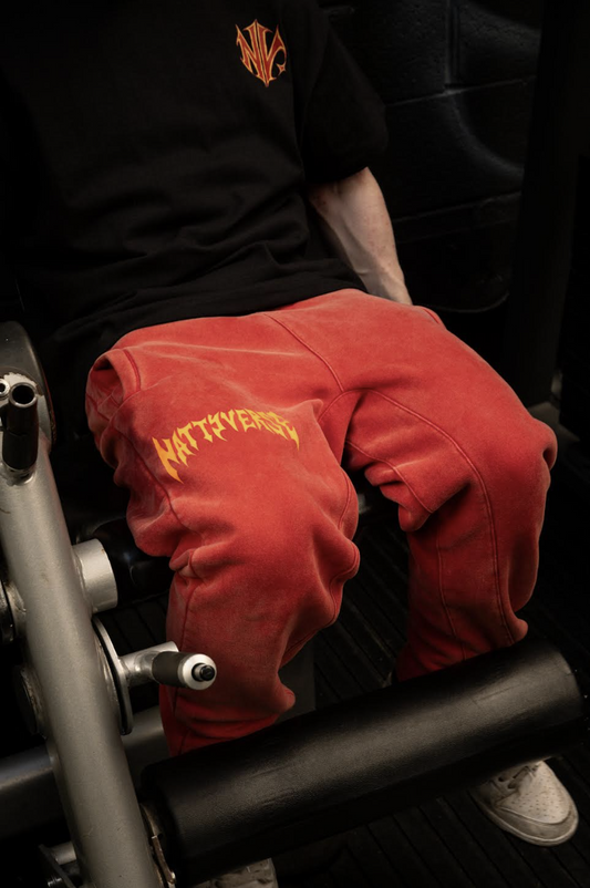 WildSet Joggers