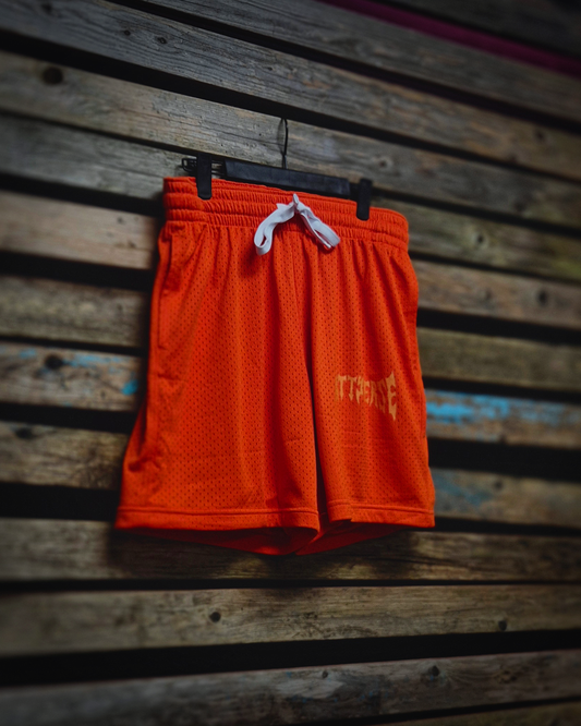 Mesh Shorts