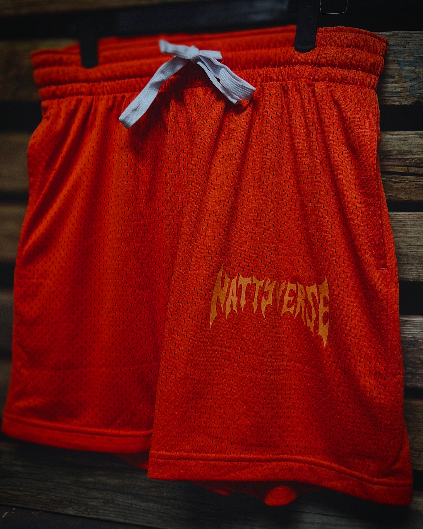 Mesh Shorts